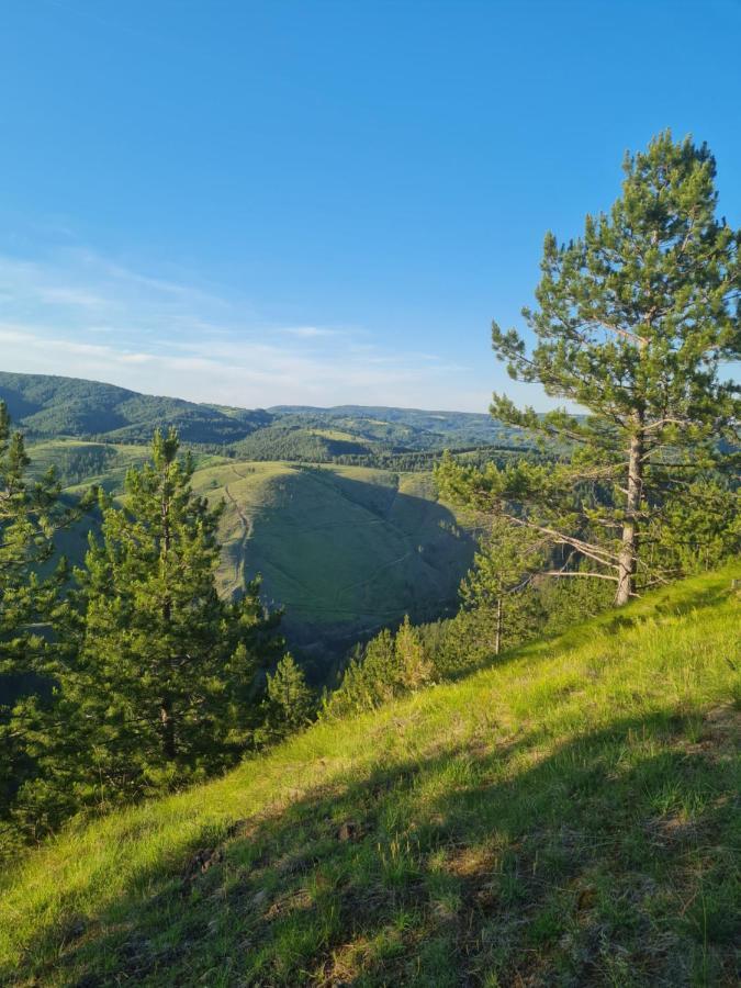 Apartman Juga Kremna Exteriör bild